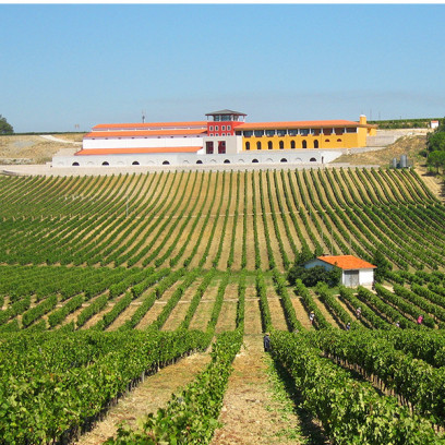 Bairrada Bairrada
