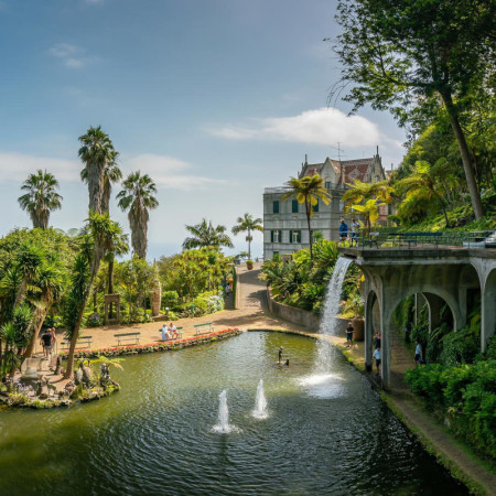 Monte Palace Monte Palace