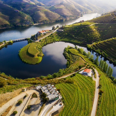 Douro vineyards Douro vineyards